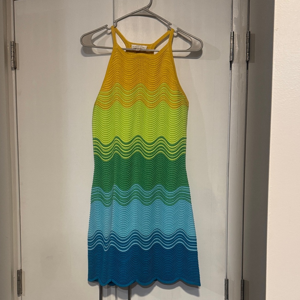 Torn by Ronny Kobo rainbow Ombre knit Mini Dress